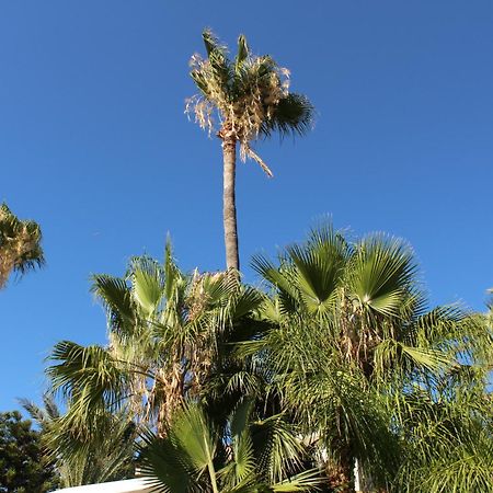 リマソール St.George'S Country Retreatヴィラ エクステリア 写真