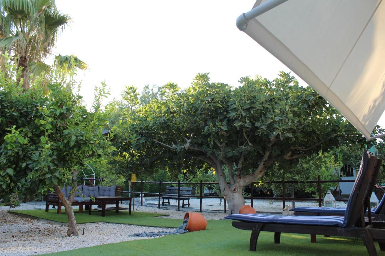 リマソール St.George'S Country Retreatヴィラ エクステリア 写真